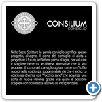 TUUM - SetteDoni