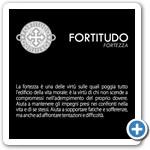TUUM - SetteDoni