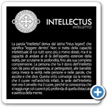 TUUM - SetteDoni